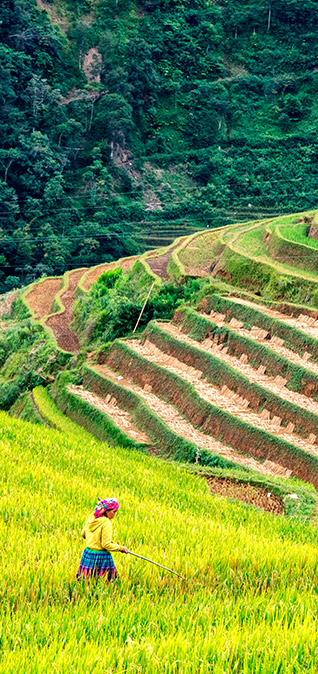 블루스카이스토리